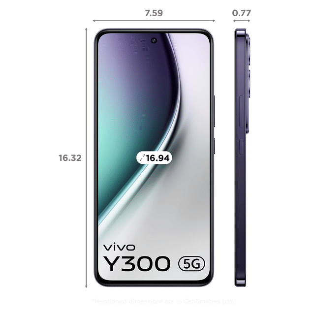vivo Y300